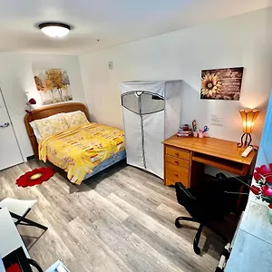 Apartment Micro 10 Minutes Walk To Of Washington